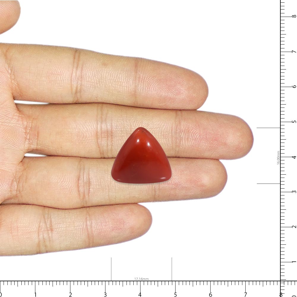 Red Coral - 20.36 Carat