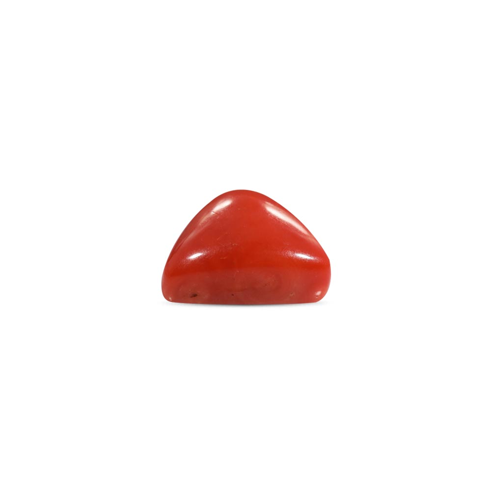 Red Coral - 20.36 Carat