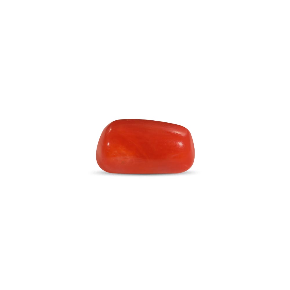 Red Coral - 2.17 Carat