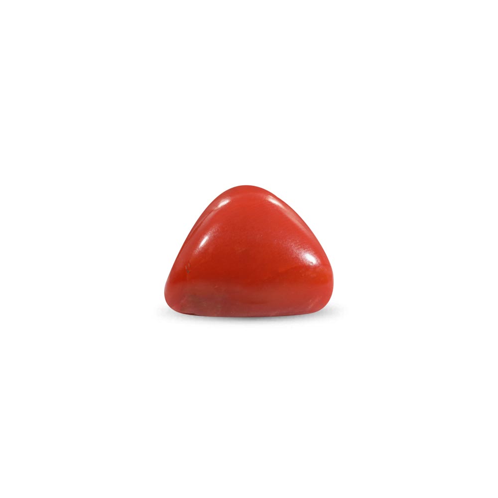 Red Coral - 22.2 Carat