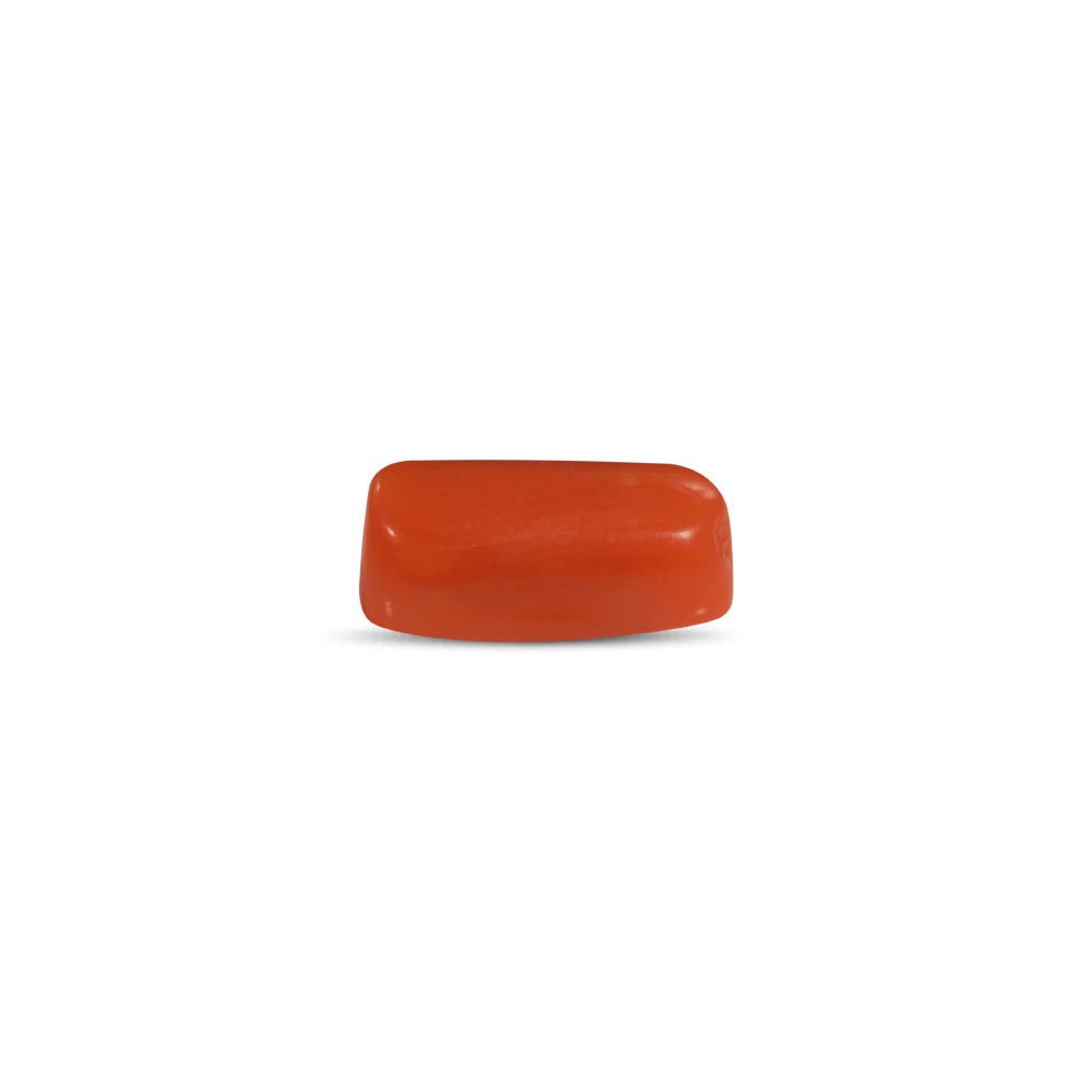 Red Coral - 2.26 Carat