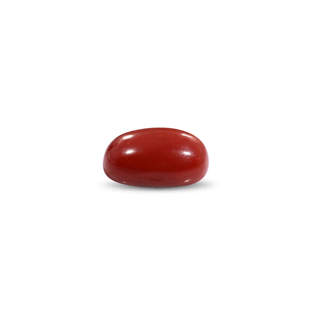 Red Coral - 22.63 Carat