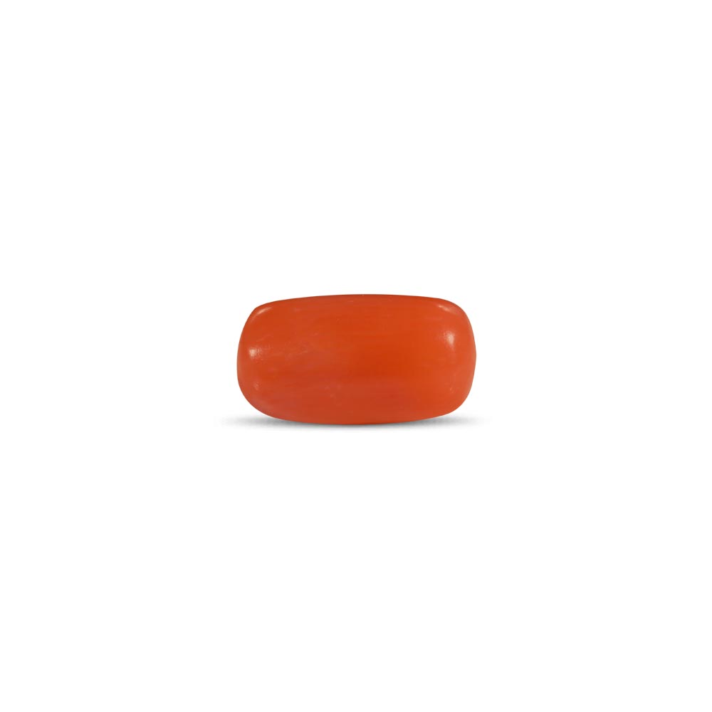 Red Coral - 2.27 Carat