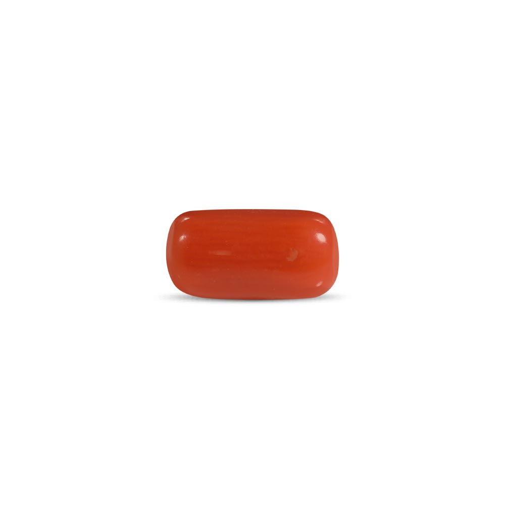Red Coral - 2.28 Carat