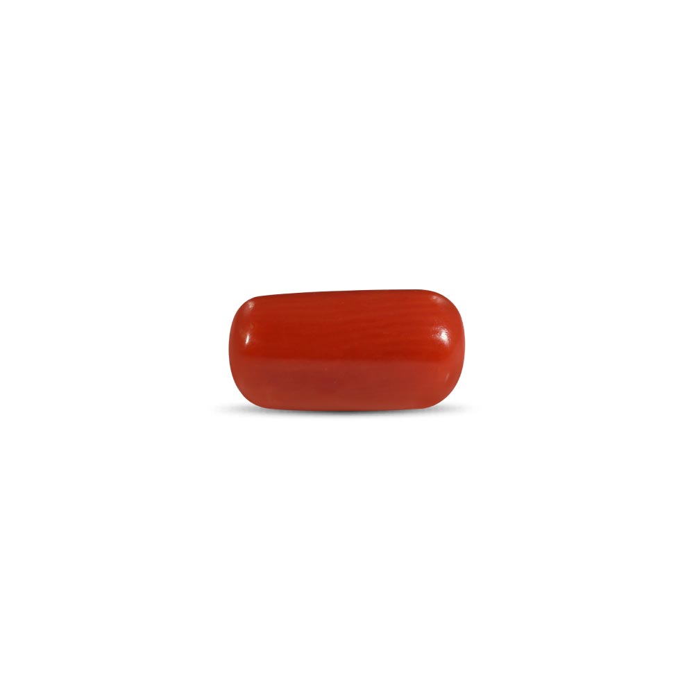 Red Coral - 2.36 Carat