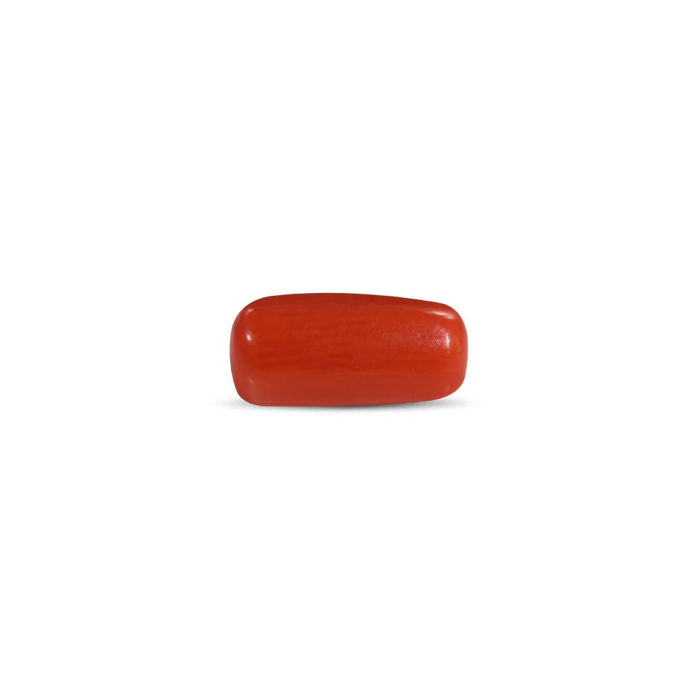 Red Coral - 2.36 Carat