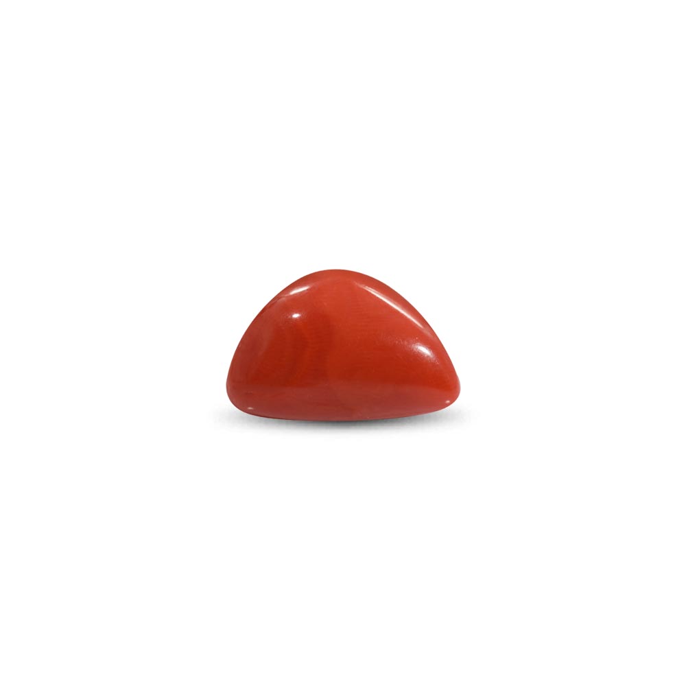 Red Coral - 23.95 Carat