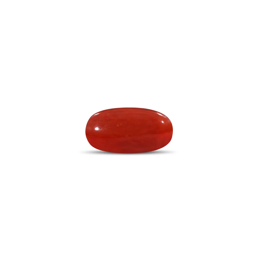 Red Coral - 24.11 Carat