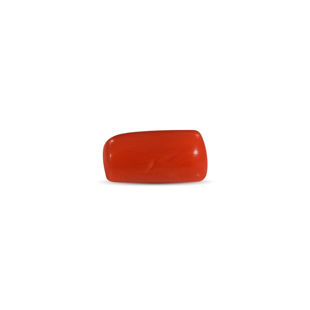 Red Coral - 2.51 Carat