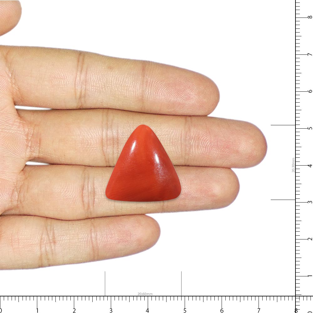Red Coral - 25.37 Carat
