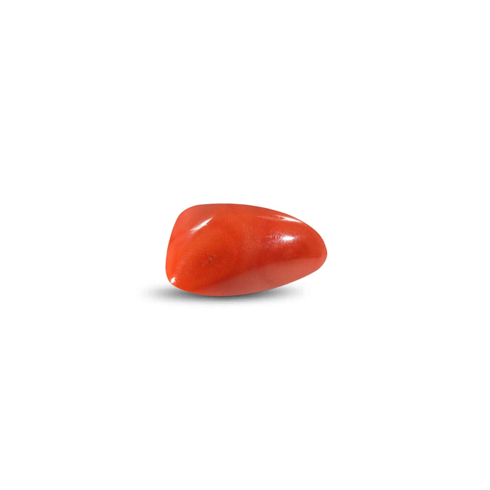 Red Coral - 25.37 Carat