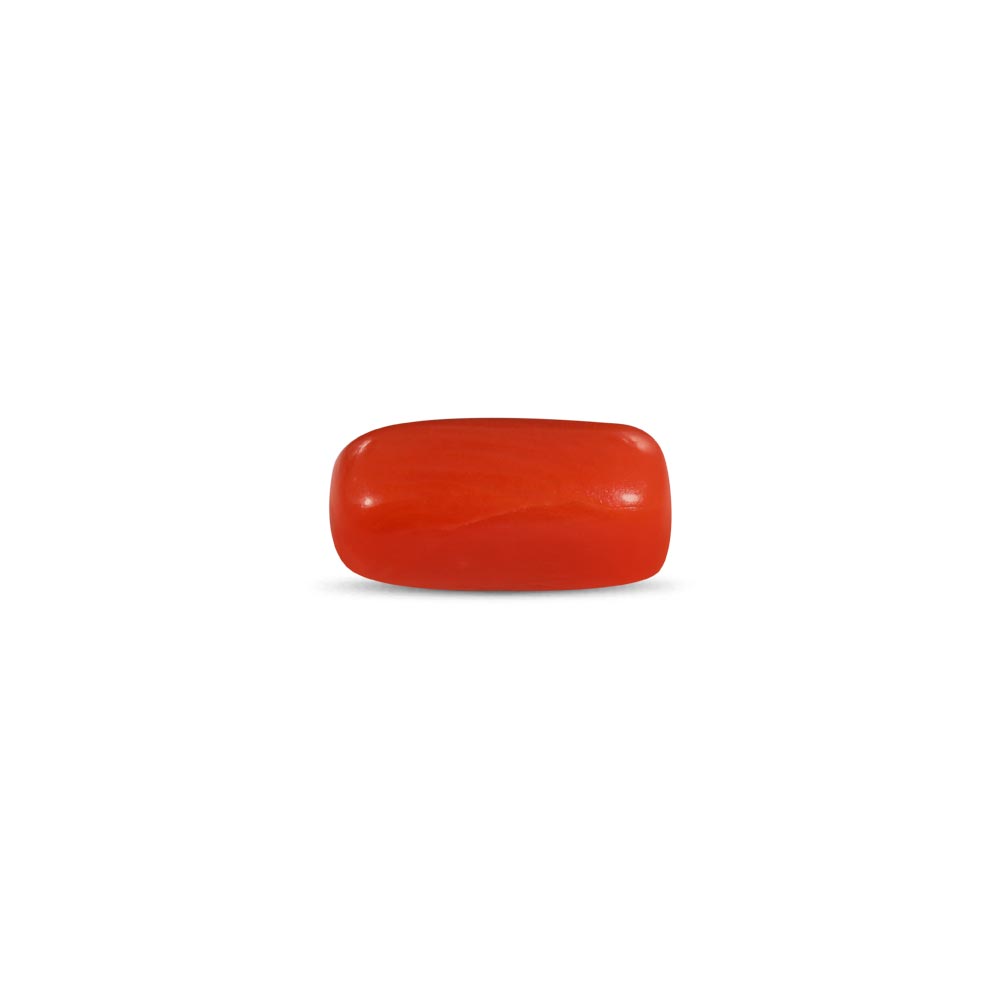 Red Coral - 2.61 Carat