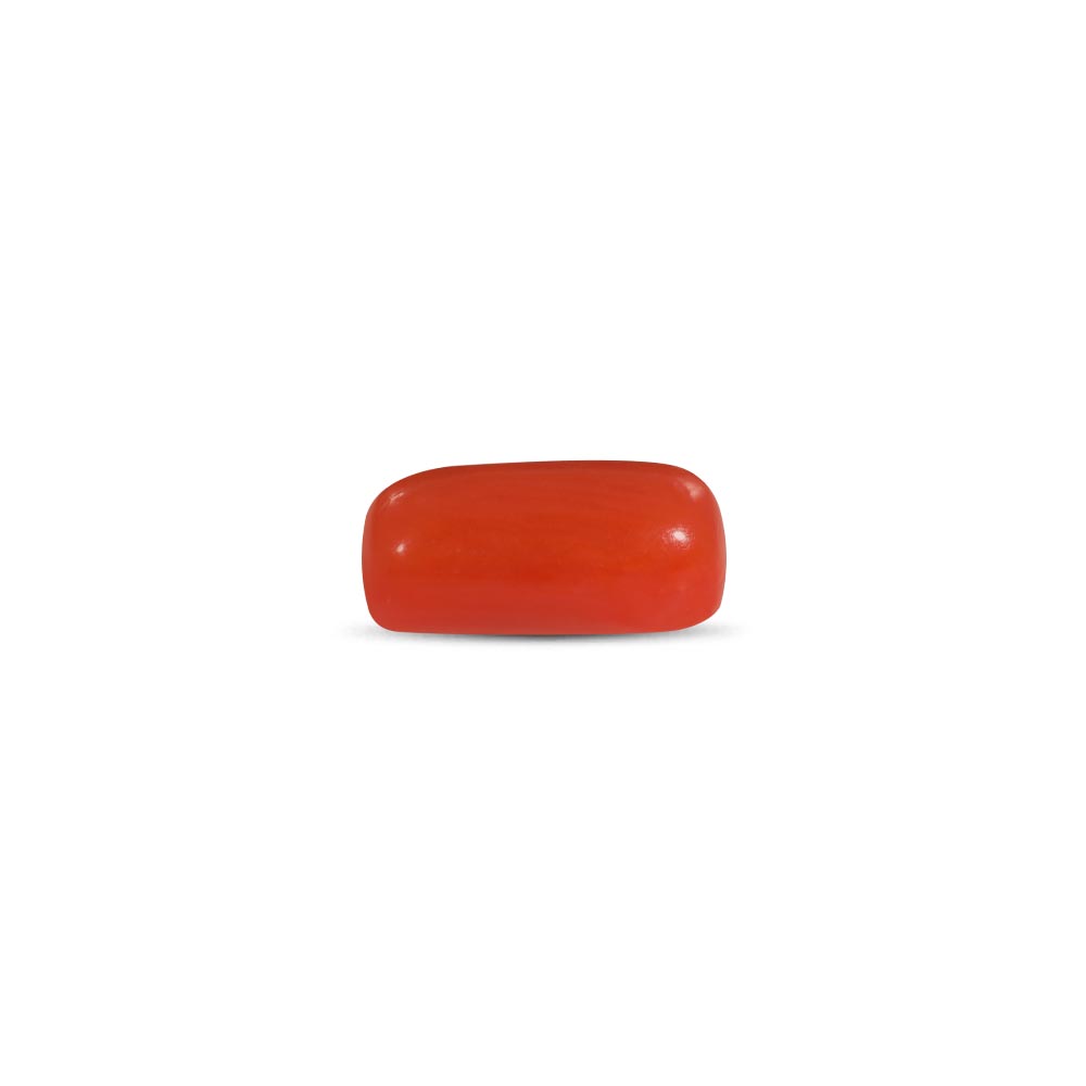 Red Coral - 2.61 Carat