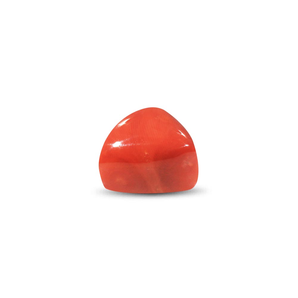 Red Coral - 27.09 Carat