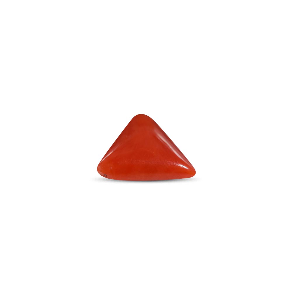 Red Coral - 2.93 Carat