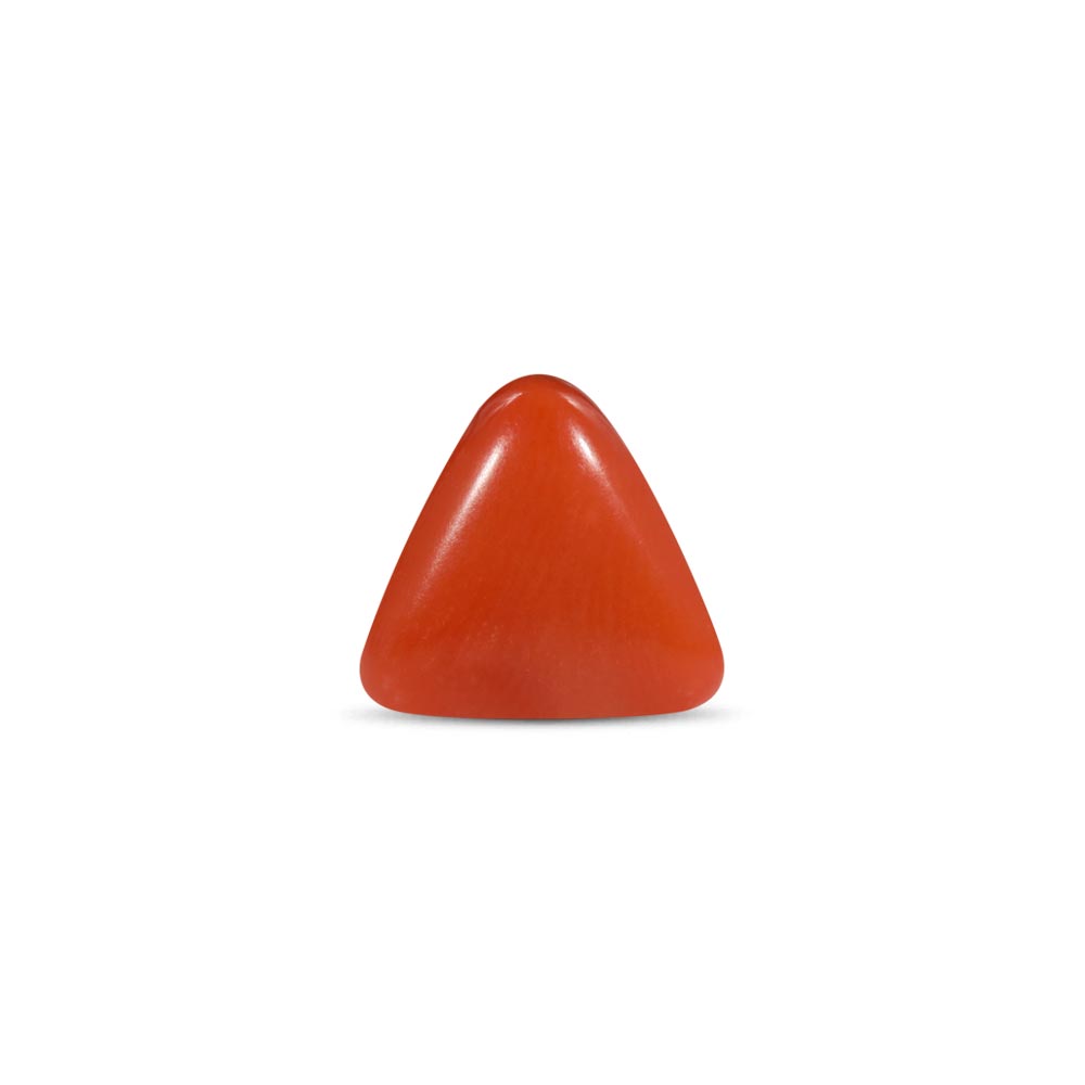 Red Coral - 2.94 Carat