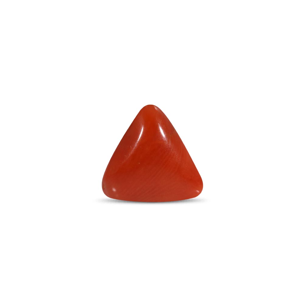 Red Coral - 3.15 Carat