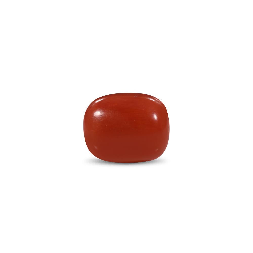 Red Coral - 33.2 Carat