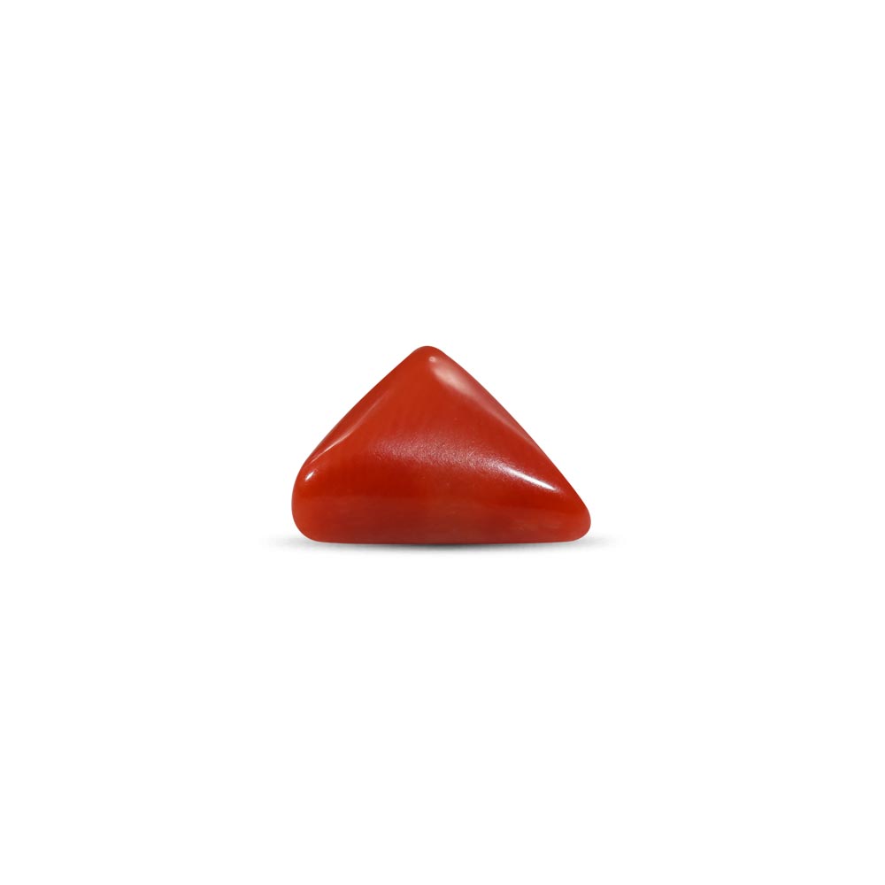 Red Coral - 3.69 Carat