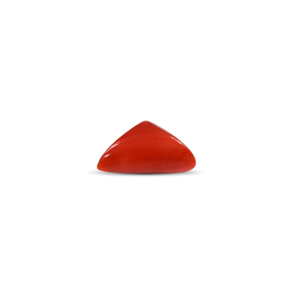 Red Coral - 3.95 Carat