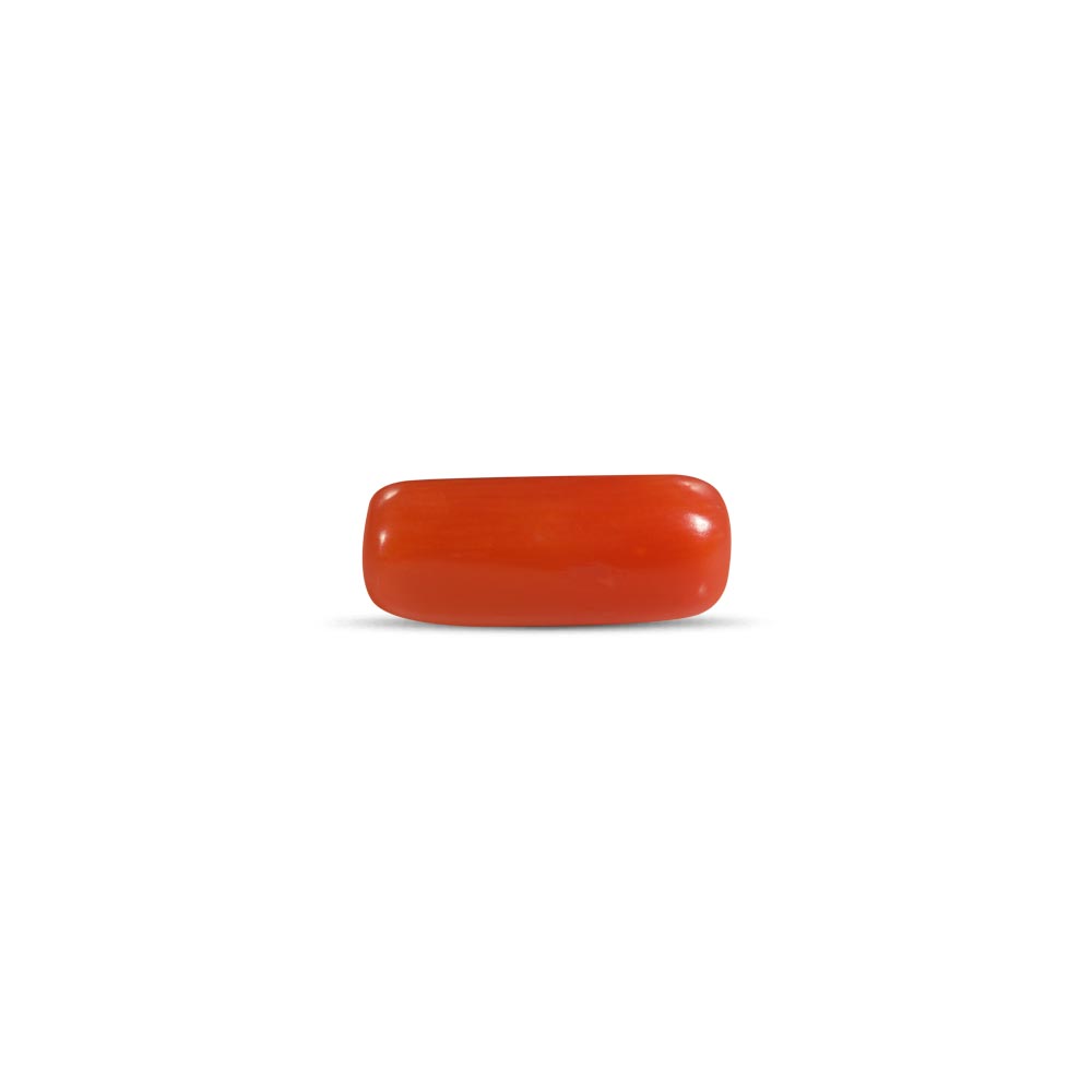Red Coral - 4.09 Carat