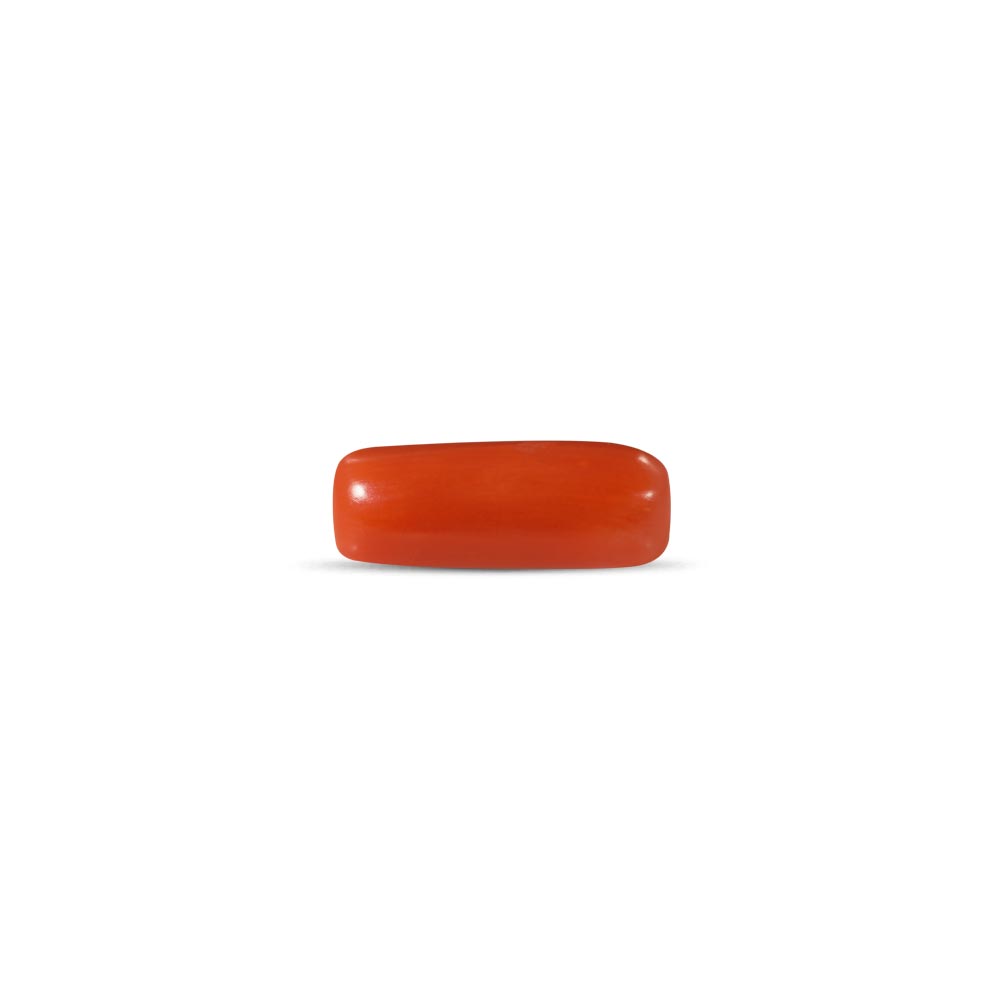 Red Coral - 4.09 Carat