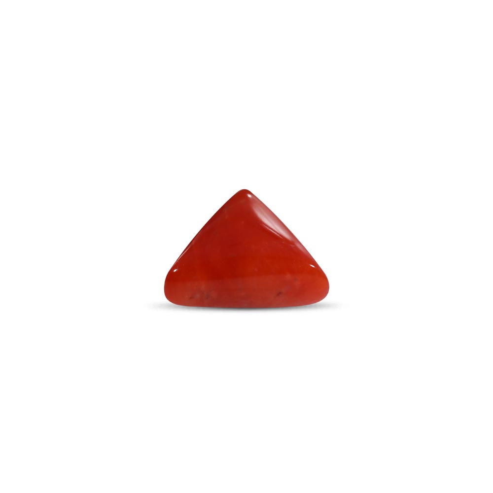 Red Coral - 4.23 Carat