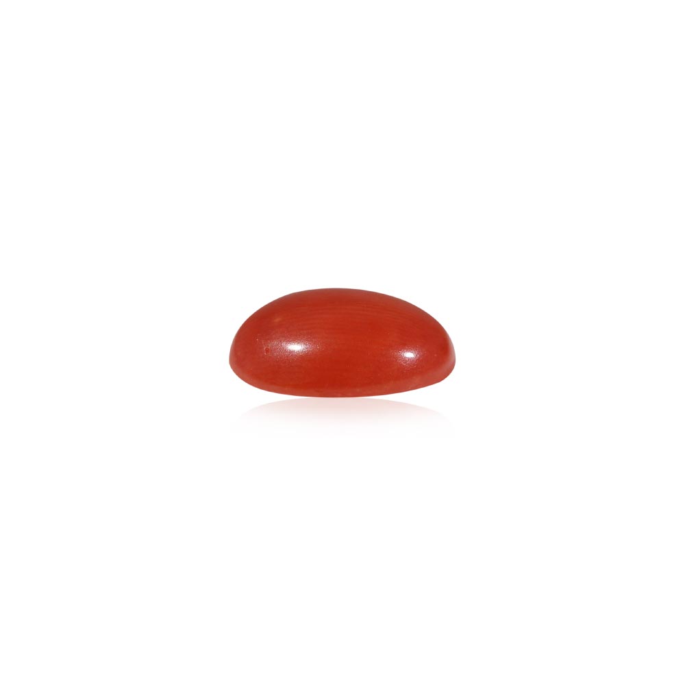 Red Coral (Moonga Ratna) - 4.24 Carat
