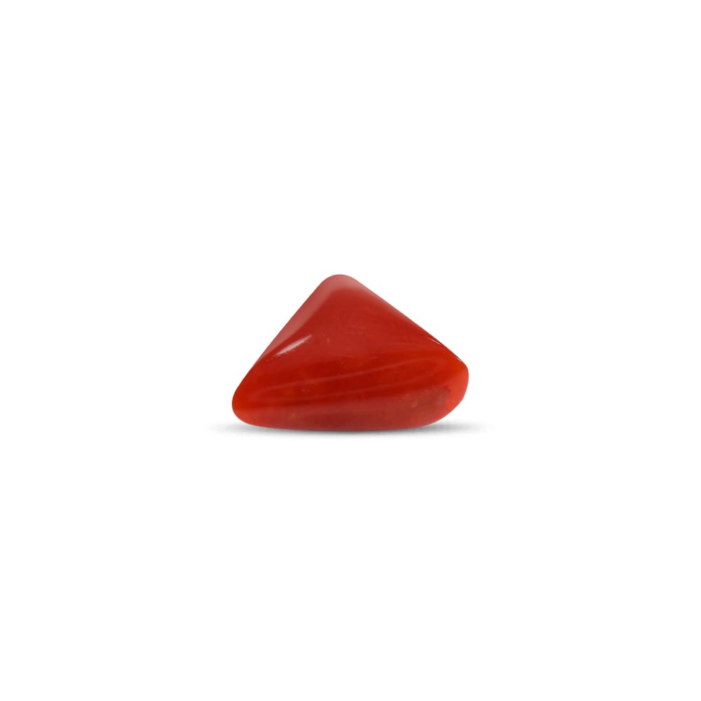 Red Coral - 4.39 Carat
