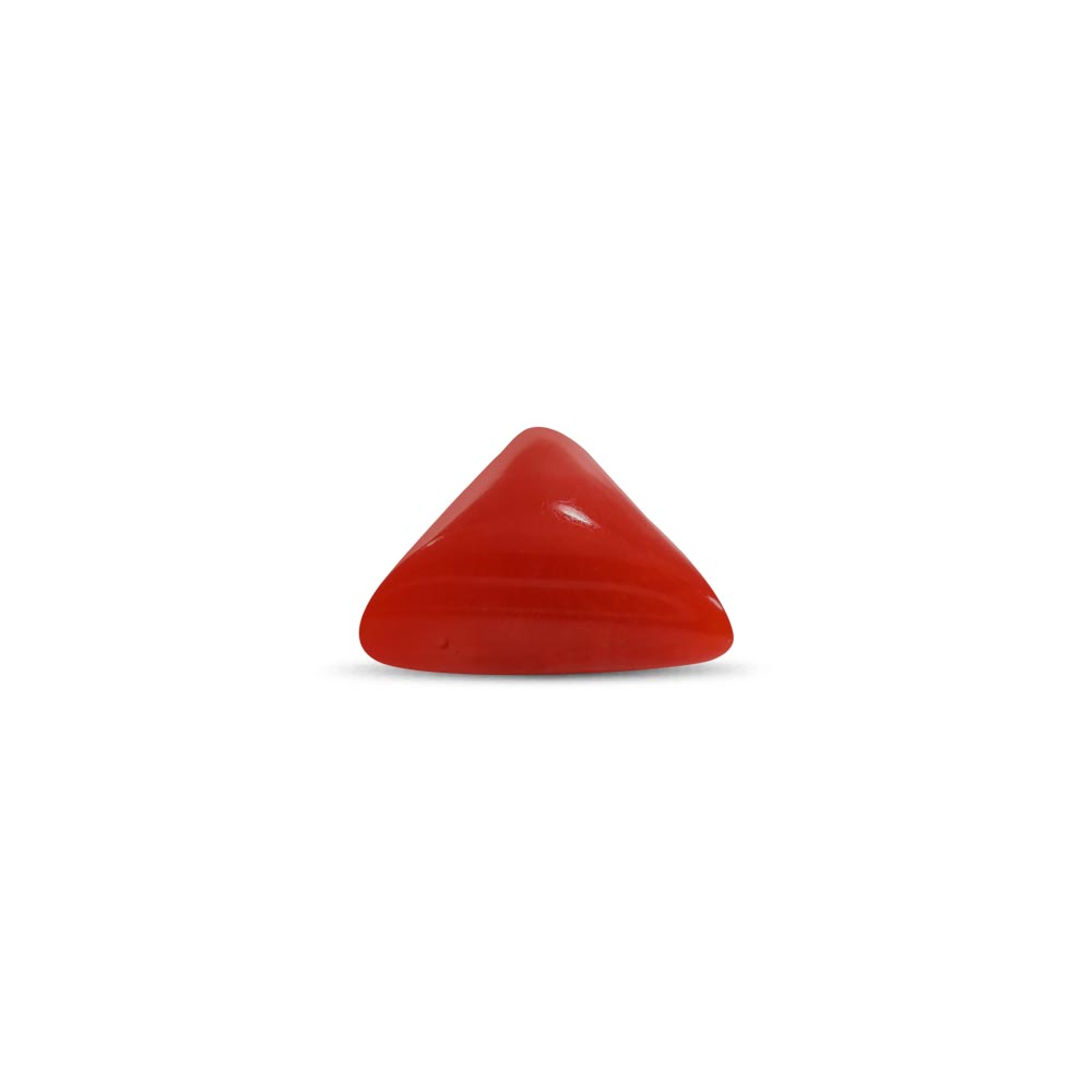 Red Coral - 4.46 Carat