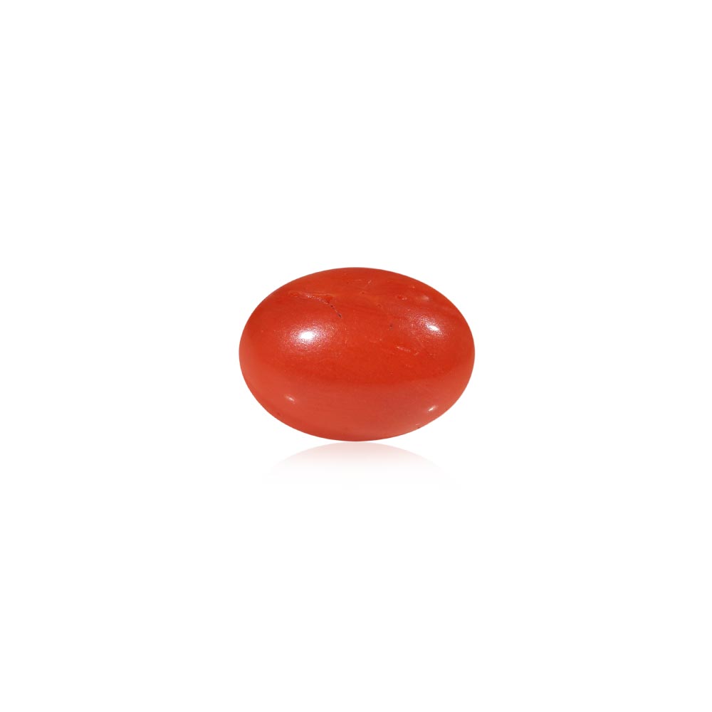 Red Coral (Laal Moonga) - 4.5 Carat