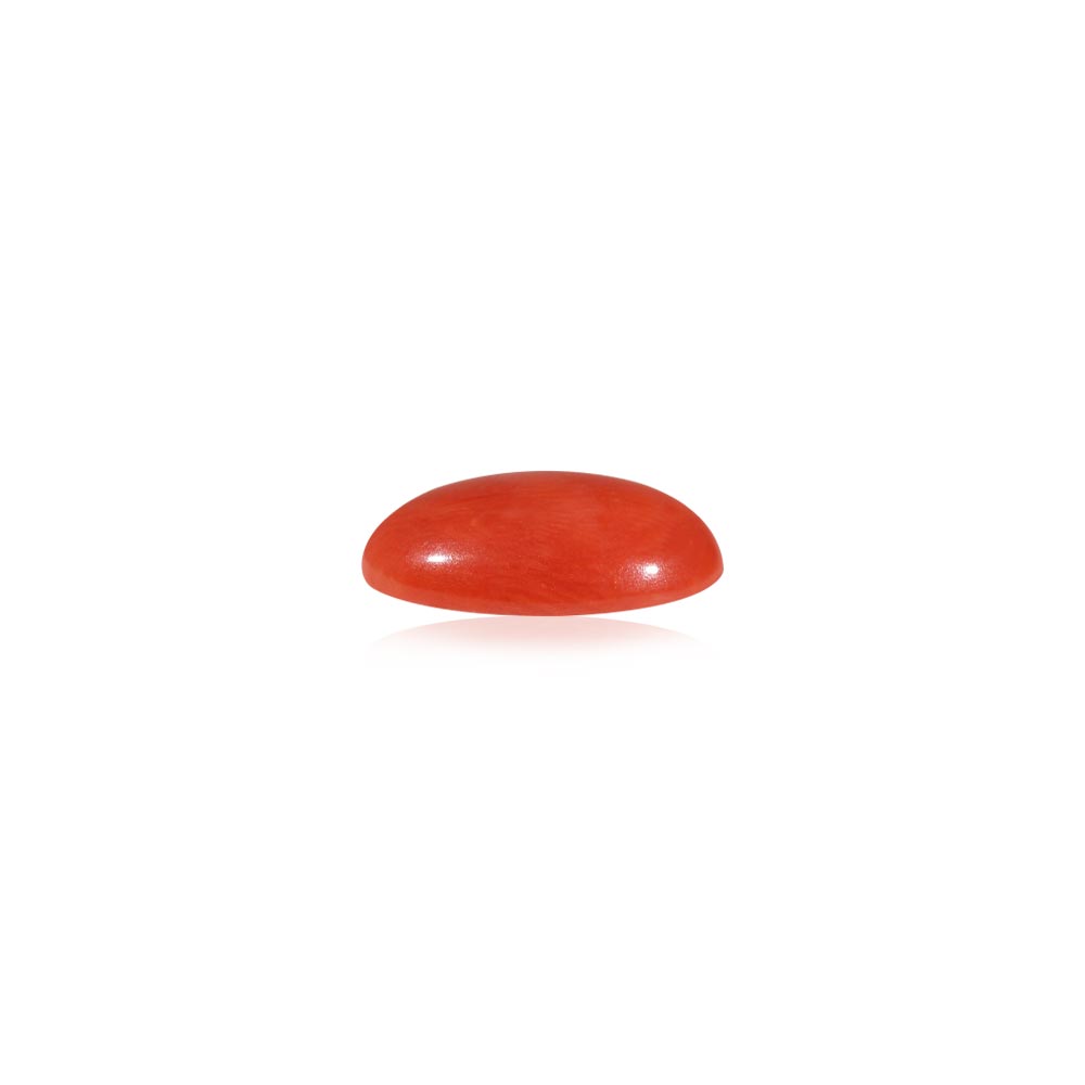 Red Coral (Laal Moonga) - 4.52 Carat