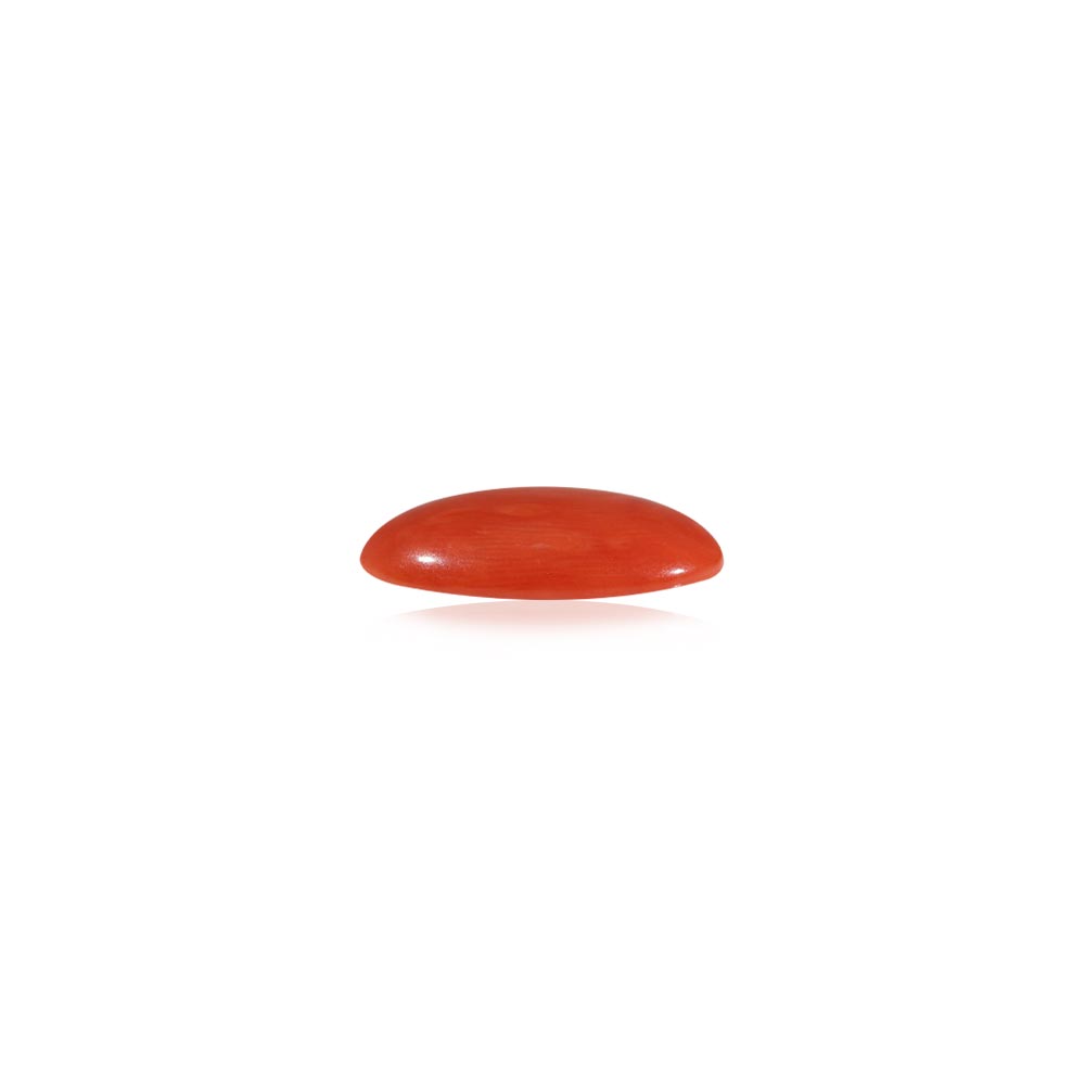 Red Coral (Laal Moonga) - 4.53 Carat