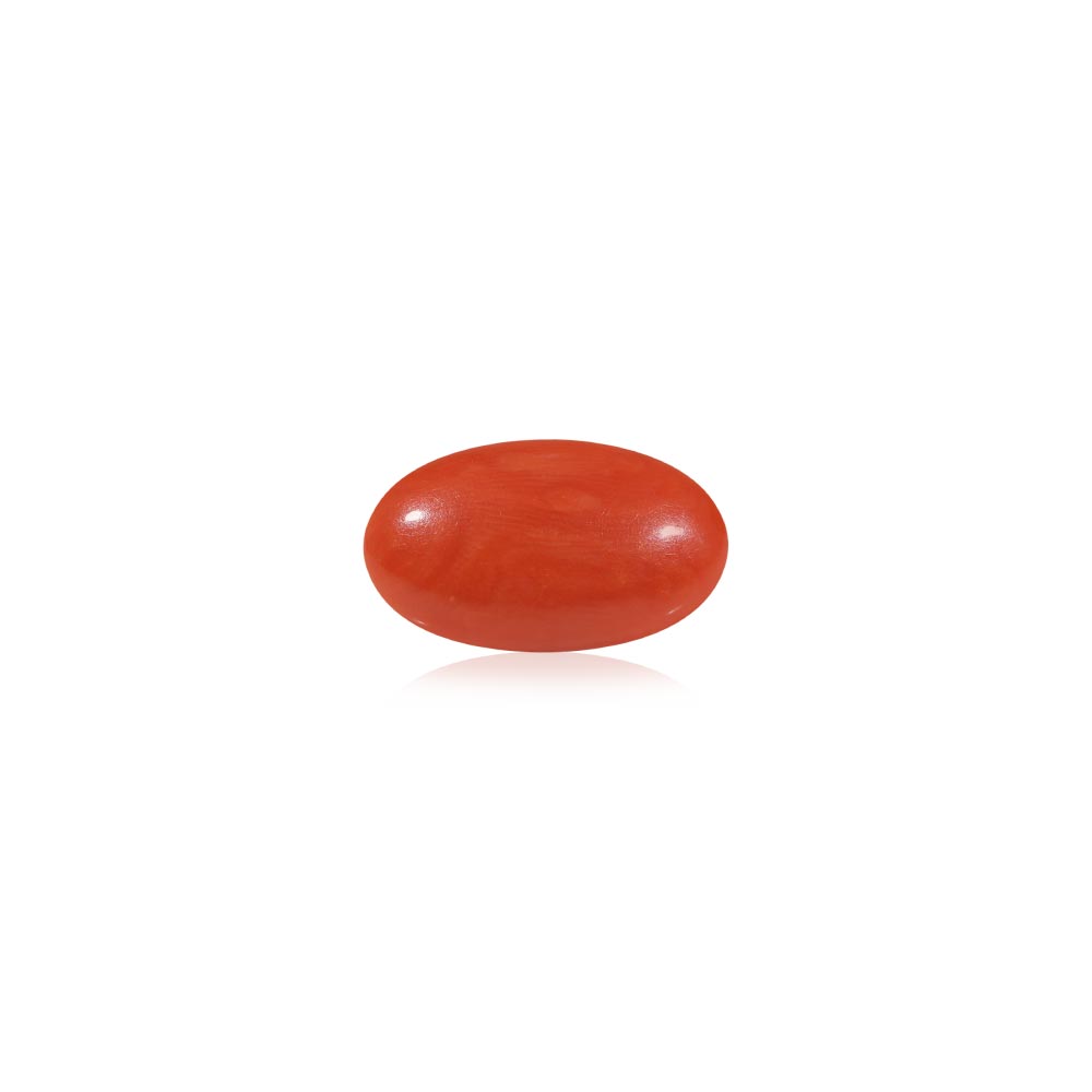 Red Coral (Laal Moonga) - 4.53 Carat