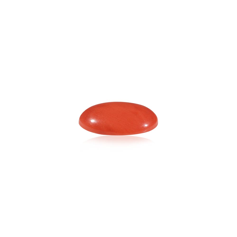 Red Coral (Moonga) - 4.54 Carat