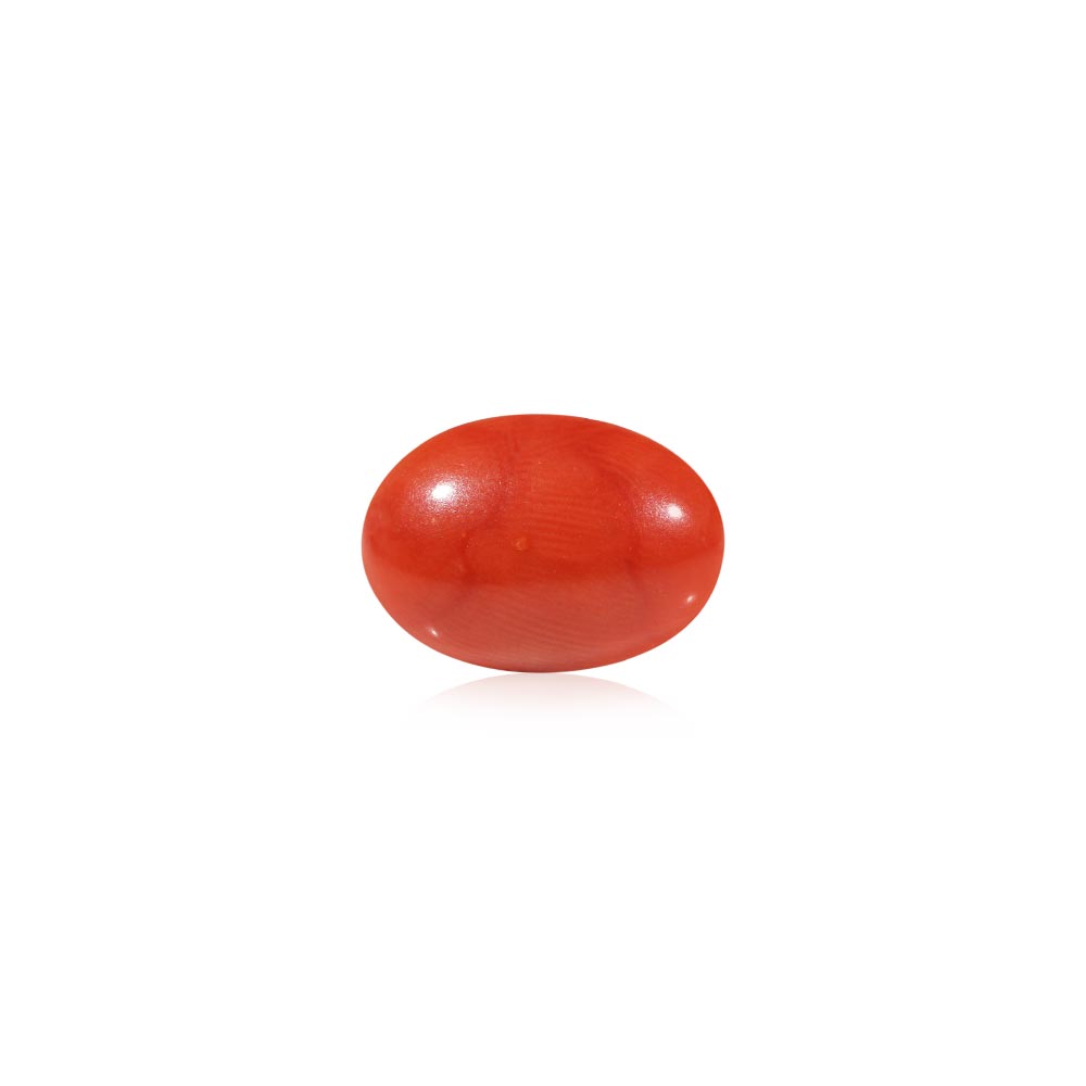 Red Coral - 4.56 Carat
