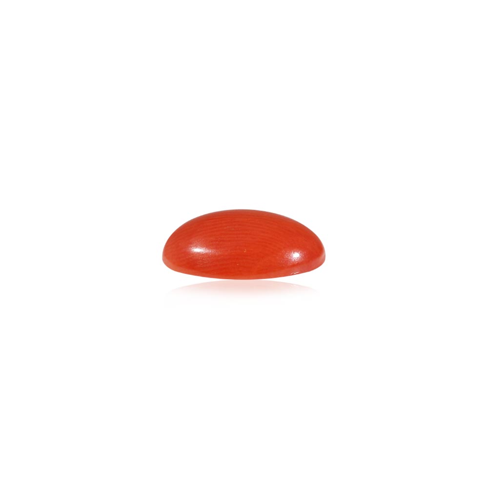 Red Coral - 4.57 Carat
