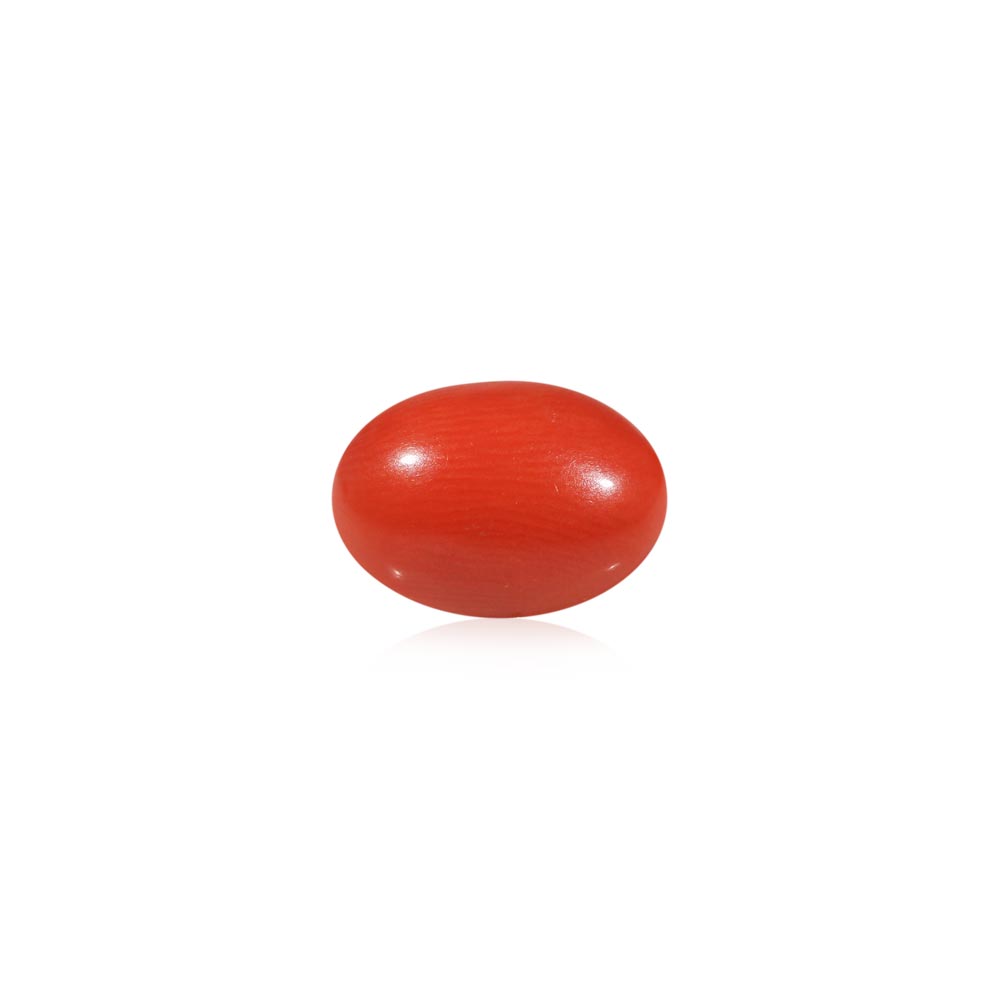 Red Coral - 4.57 Carat