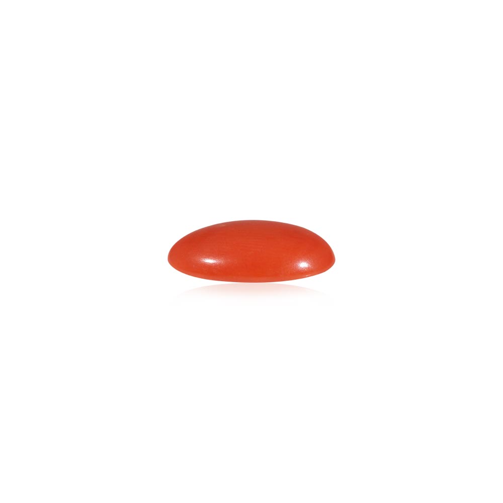 Red Coral - 4.68 Carat