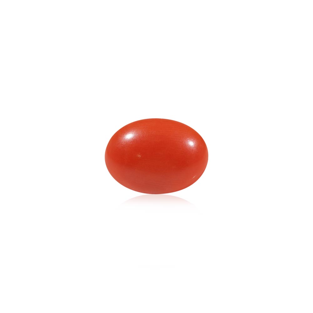 Red Coral - 4.68 Carat