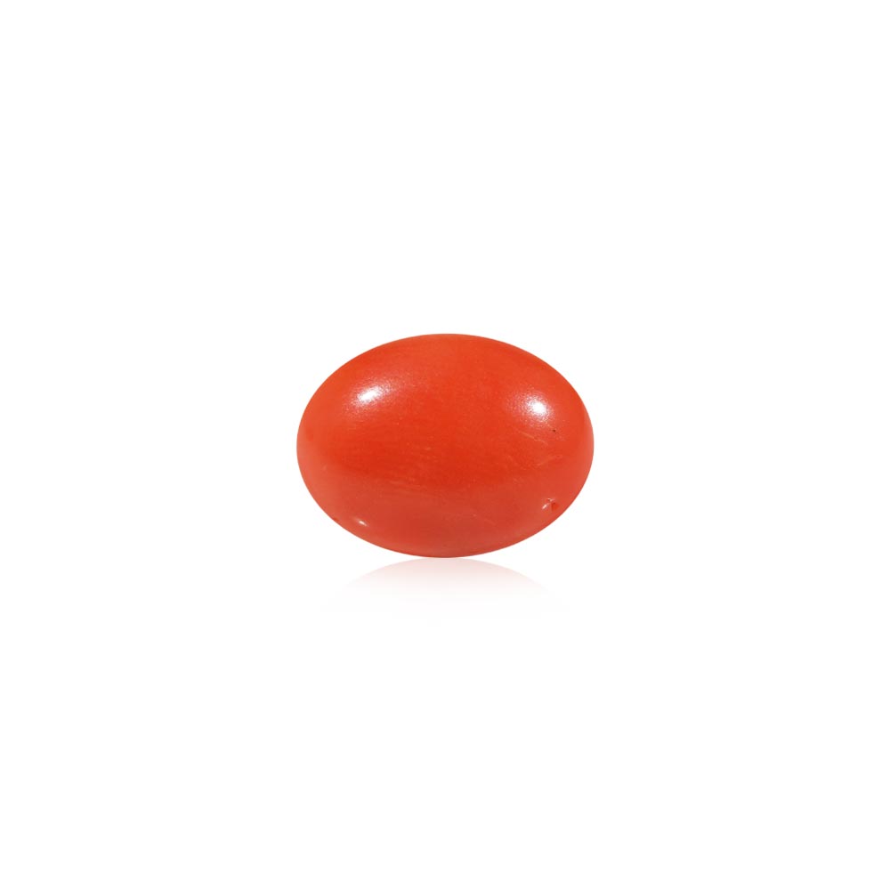 Red Coral - 4.76 Carat