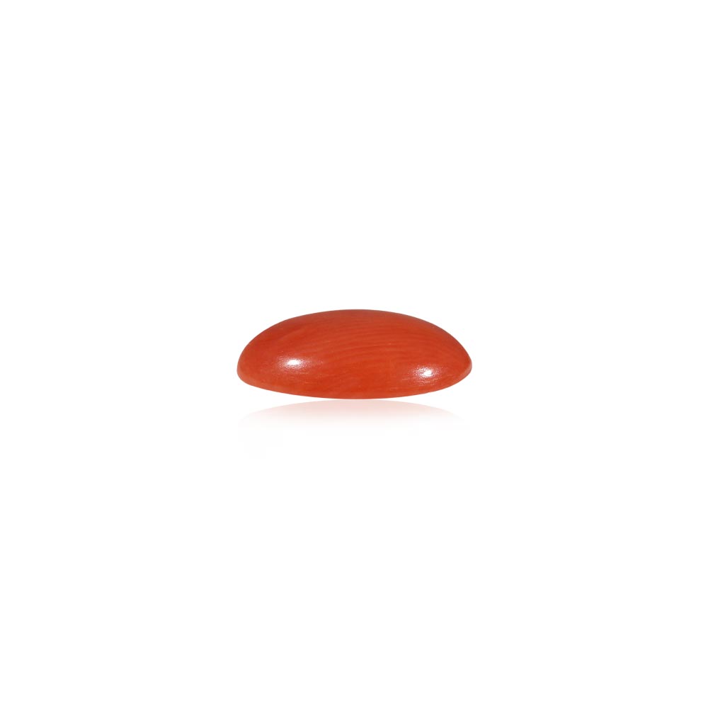 Red Coral - 4.77 Carat