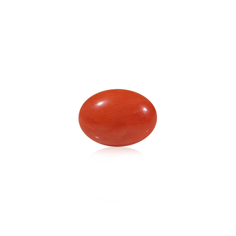 Red Coral - 4.77 Carat