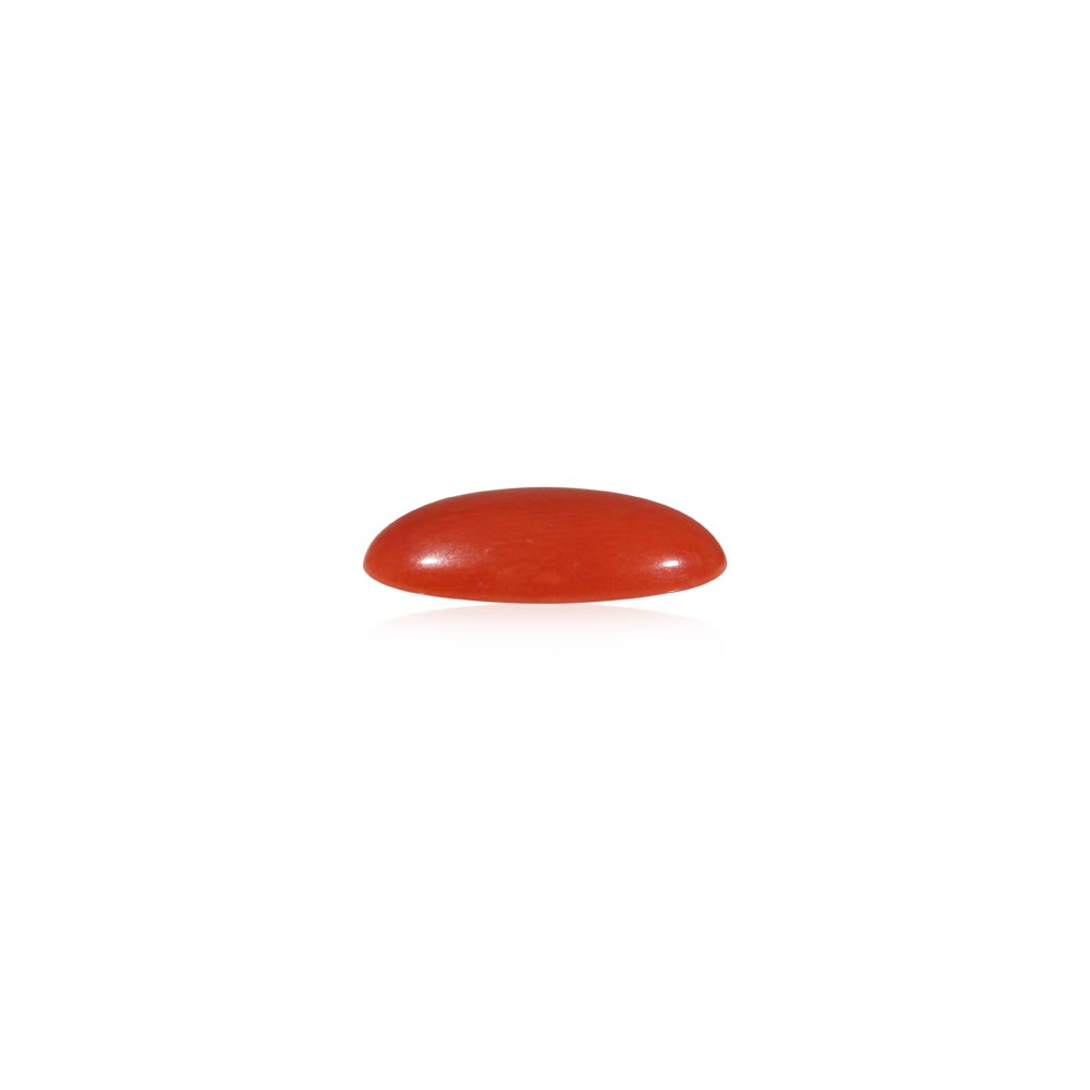 Red Coral - 4.82 Carat