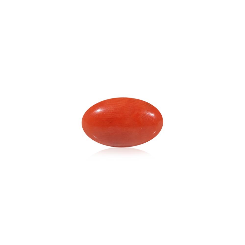 Red Coral - 4.83 Carat