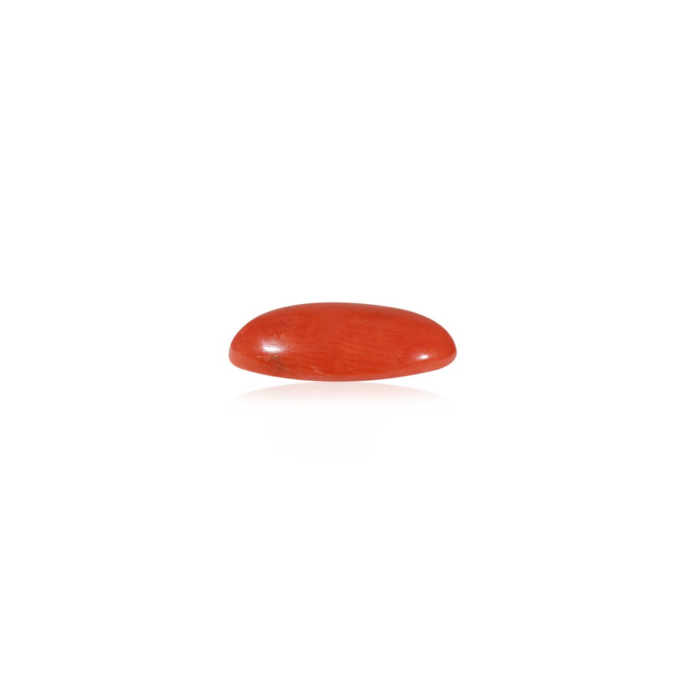 Red Coral - 4.83 Carat