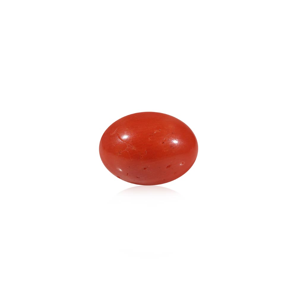Red Coral - 4.88 Carat