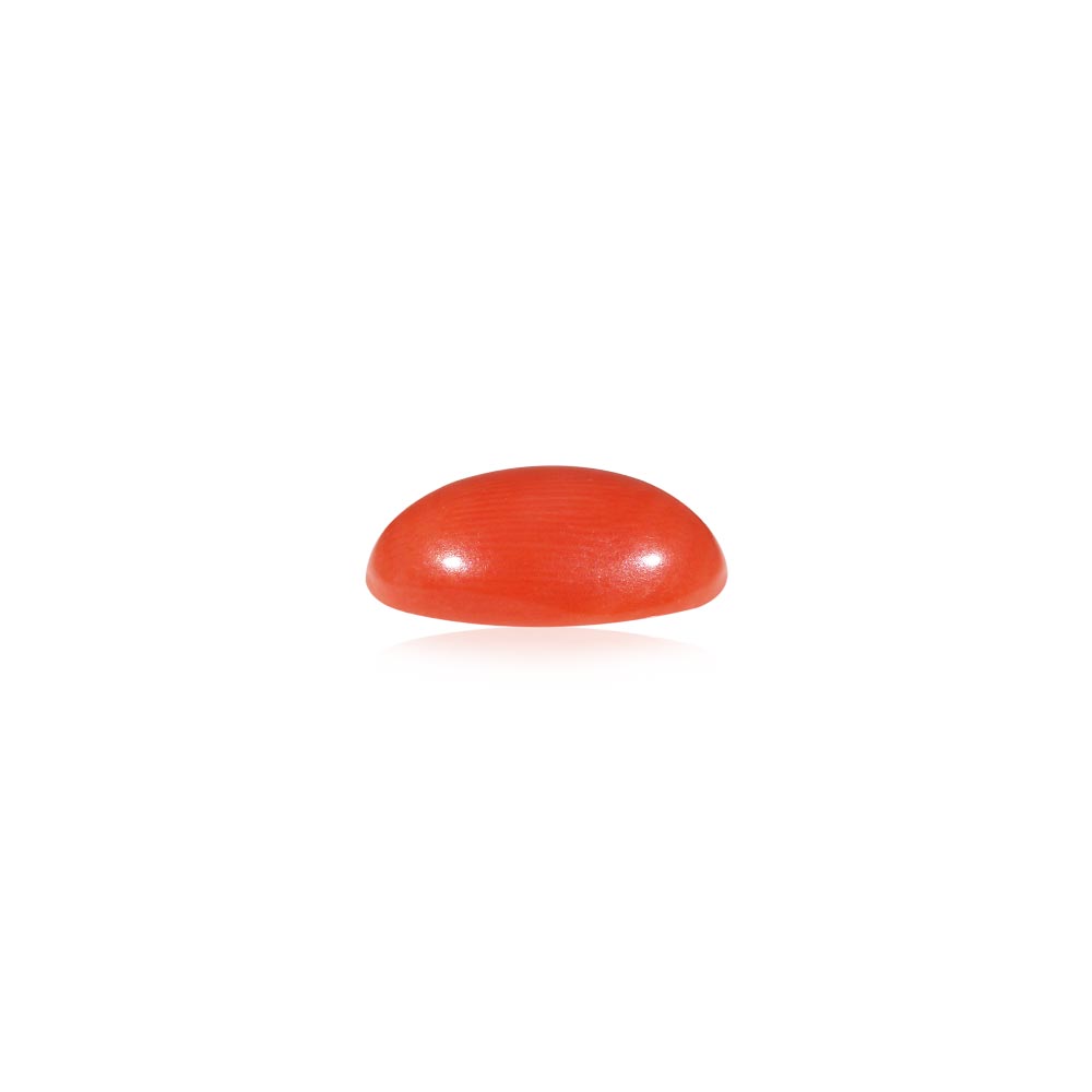 Red Coral - 4.9 Carat