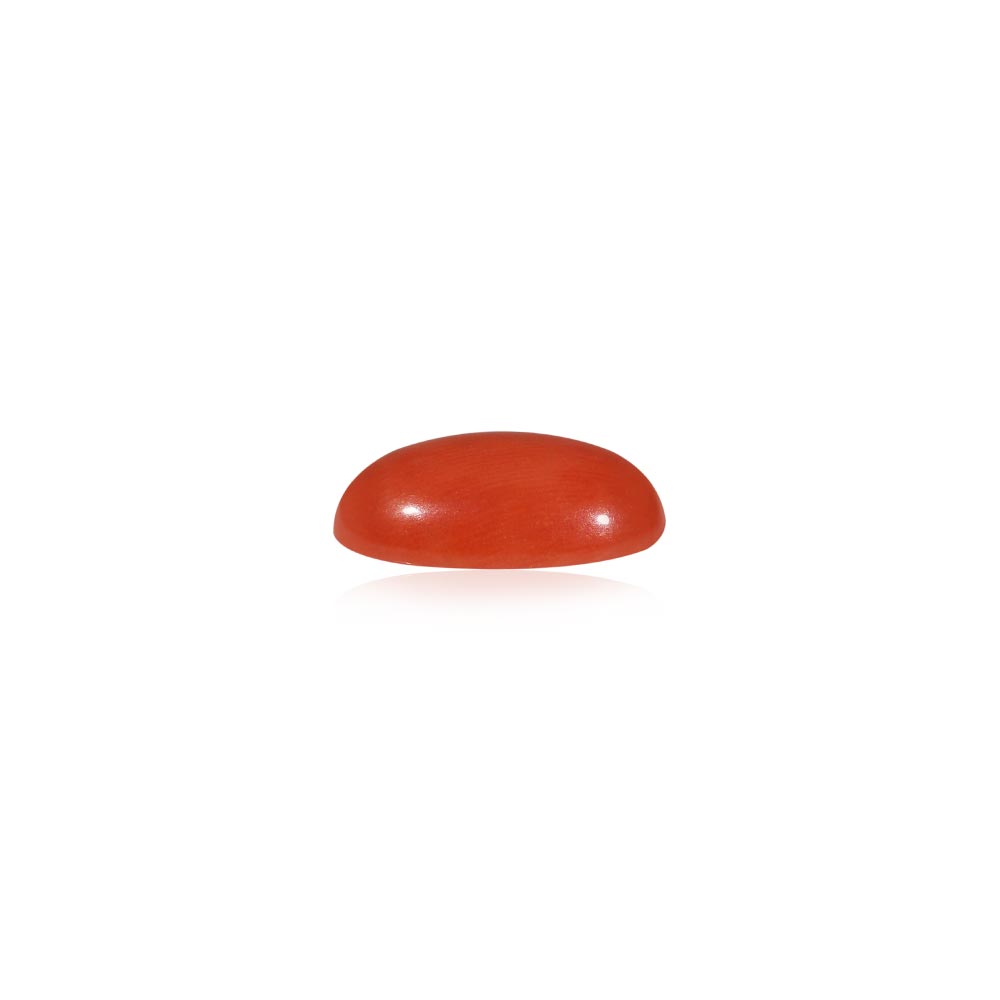Red Coral - 4.95 Carat