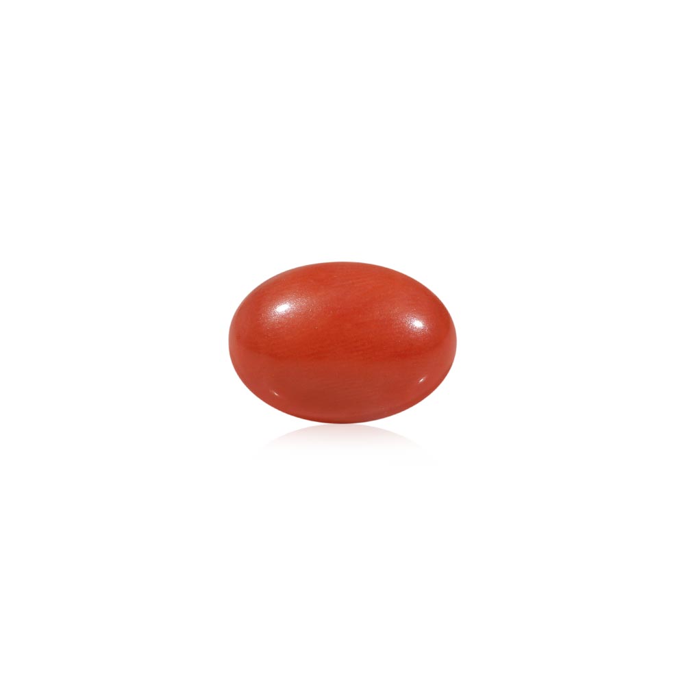 Red Coral - 4.95 Carat